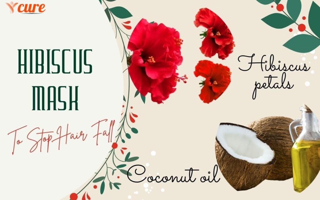 Hibiscus Hair mask 1