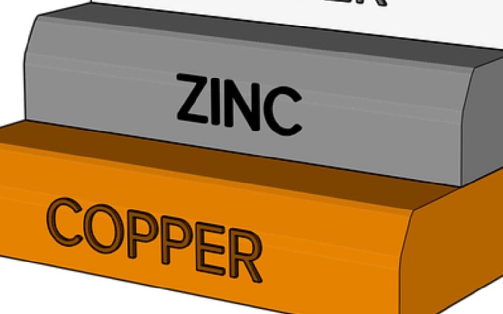 zinc and copper for immune system