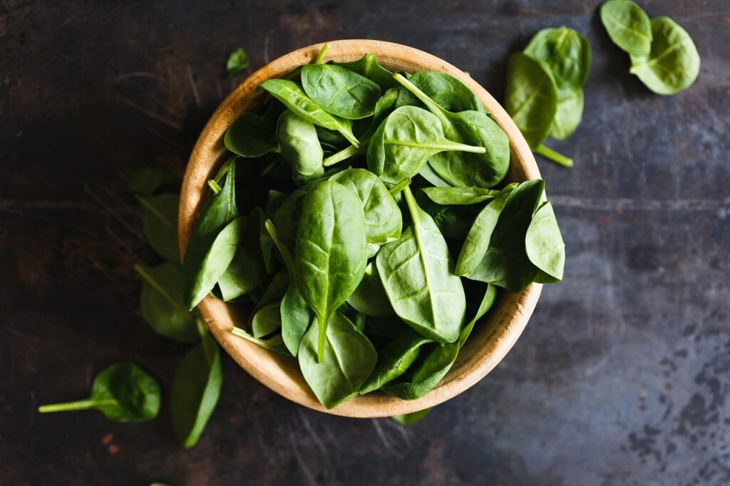 basil leaves increases oxygen level