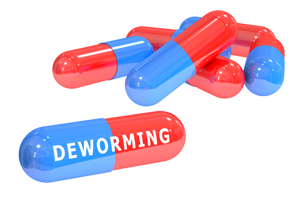 significance-of-deworming-in-kids-and-adults