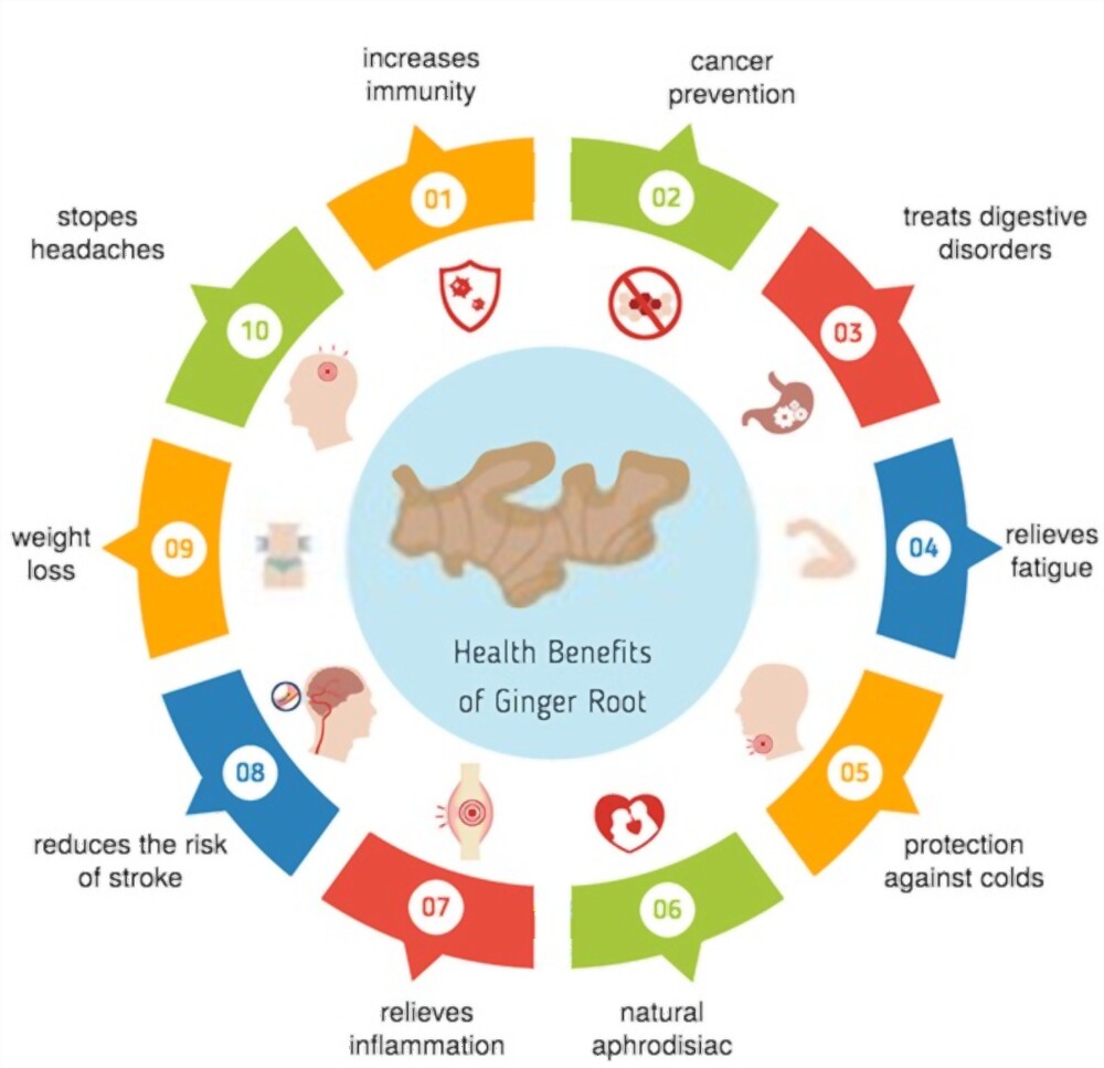 uses of ginger