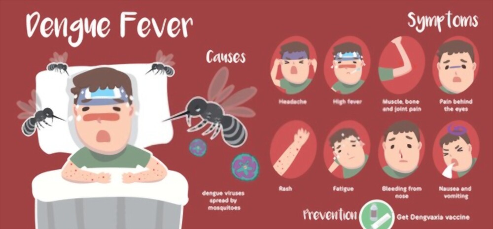 dengue- vcurehealthcare
