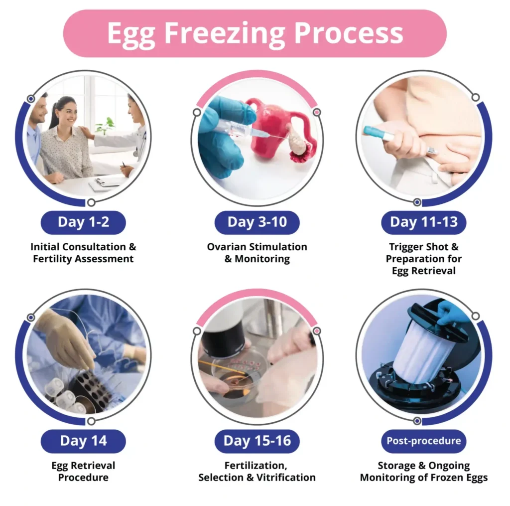 egg freezing