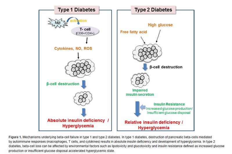 diabetes