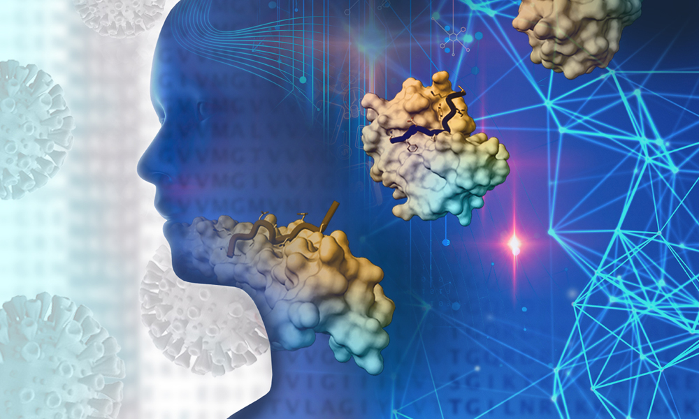 How immune system fights viruses